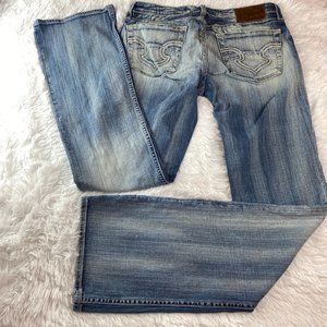 Big Star Hazel Curvy Fit Distressed Jeans